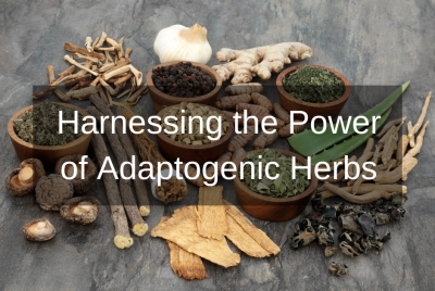 Harnessing the Power of Adaptogenic Herbs to Combat Stress and Enhance Resilience
