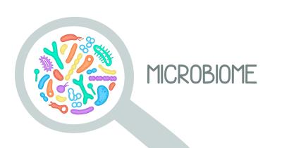 Food Sensitivity Testing and Its Link to The Microbiome 